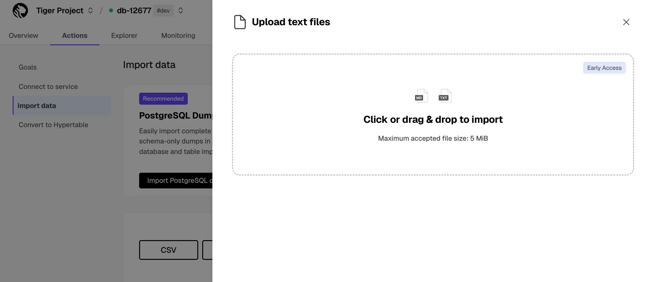 Uploading a text file in Tiger Console